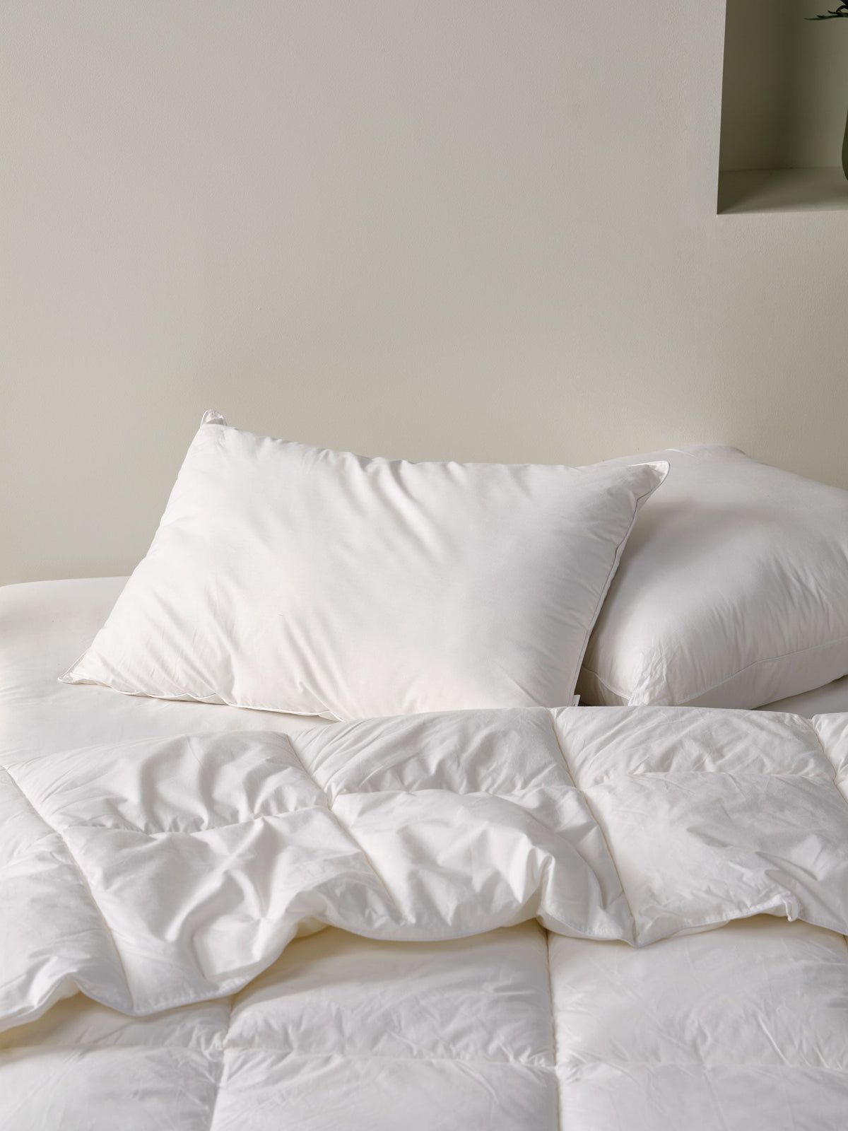 Linen House Bedding