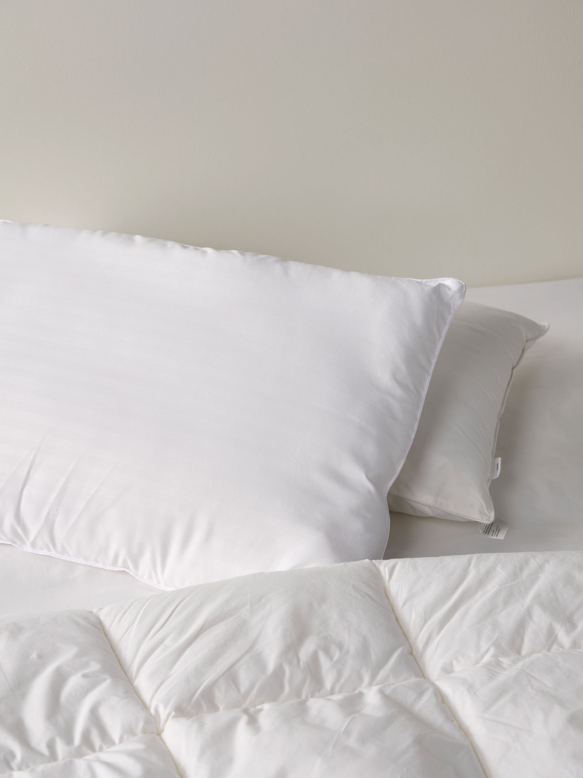 Linen House Everyday Standard Pillow